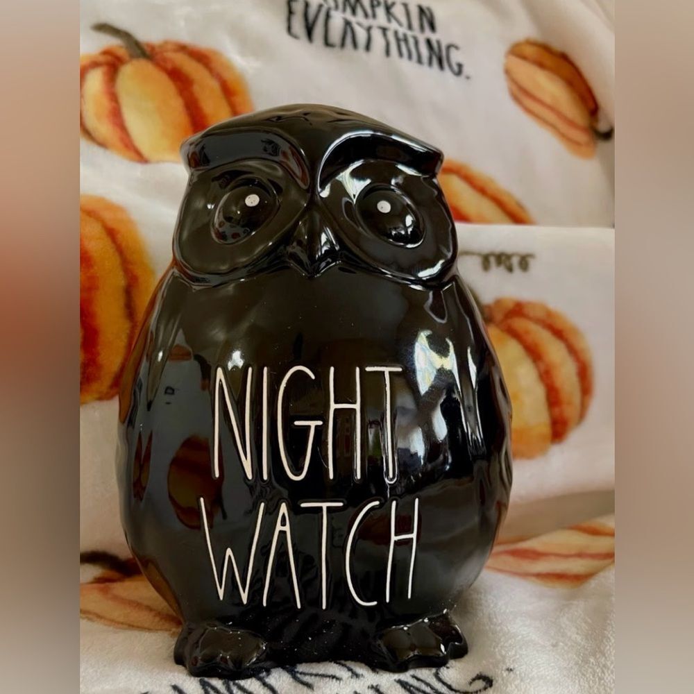 Raedunn Black Owl Night Watch Home Accent NIp